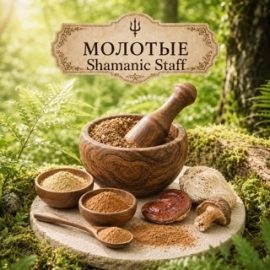 Молотые